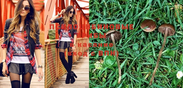 первитин Каменногорск